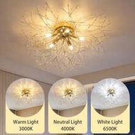 Modern Ceiling Light, Creative Indoor Lighting Fixture, G9 Bulb Base, Supports Multiple Color Temper