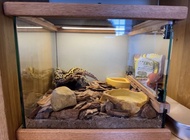 全新木制玻璃爬蟲飼養箱