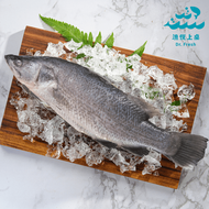 【漁悅上桌 Dr. Fresh】金目鱸魚條凍(300-400g)6入組(加贈-金目鱸魚下巴2入)