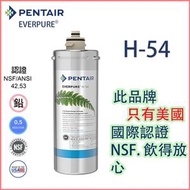 愛惠浦 - PENTAIR EVERPURE H54 替換濾芯 H-54 (EV973006) [平行進口] 濾芯通用 H-104 H104