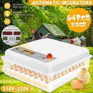 Mesin Inkubator Penetas Telur Angsa Puyuh Otomatis 110-220V Warna
