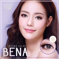 คอนแทคเลนส์ Kitty Kawaii : Bena สายตาปกติ/สายตาสั้น