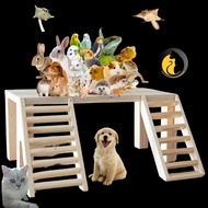 Hamster Table | Hamster Tables And Bridges | Hamster Toys