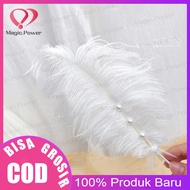 Dekorasi Foto Nail Art Design Feather Aksesoris Hasil Foto Nail art Diy