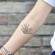 OhMyTat 龍舌蘭蘆薈 Agave Aloe Vera 刺青圖案紋身貼紙 (2 張)