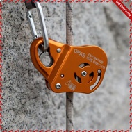 leipupa Climbing Safety Device Versatile Rope Access Tool Fall Arrester for Work at Height and Mount