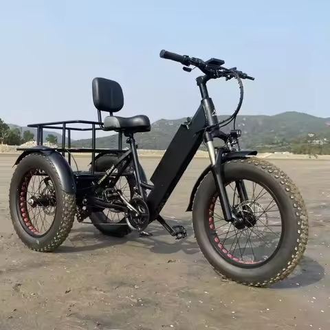 3 Wheel Electric Bike ET500 Electric Cargo Bike 20 Inch 48V 500W Motor Three Wheels Adult Cargo Elec