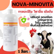 [1ลิตร] อควาโช้ค อะมิโน - Aquachok Amino ขนาด 1000 มิลลิลิตร