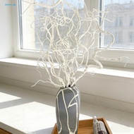 GH|  No Maintenance Branches Long Lasting Artificial Branches Artificial White Curly Willow Branches
