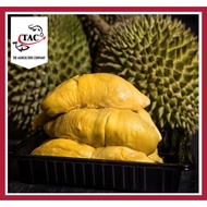 [FRESH FROZEN] Raub Premium Black Gold MSW Durian 黑金猫山王榴莲 net 400g