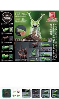 昆蟲扭蛋2一套4隻