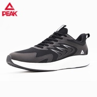 PEAK TAICHI  Running Shoes kasut sukan