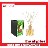 Aromatherapy Reed Diffuser Natural Scented Essential Oil 200ML (Eucalyptus)