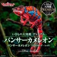 生物大圖鑑 變色龍 (赤)
