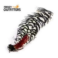 Fly Tying Feathers Lady Amherst/Golden Pheasant Head