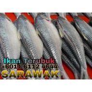 Ikan Terubuk Masin Sarawak (Kering)