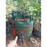 HIJAU Standard Green 35 Liter Planter Bag