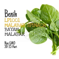 BENIH Bayam Malabar | Malabar Spinach Seeds