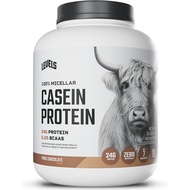 Levels 100% Micellar Casein Protein, Hormone Free, Chocolate, 4LB
