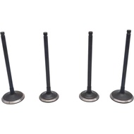 OEM Intake and Exhaust Valve Set for Odes 800 Dominator Assailant D2 D4 X2 X4 - Compatible with 2104