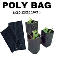 PolyBag/GardeningPolyBag/8x10/12x15/16x16inches
