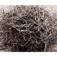 Dry Saga Tree Twigs/Dried Sogo Tree/Dried Sege Branch Twigs