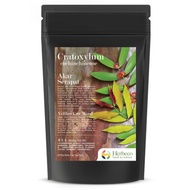 HERBECO Organic AKAR SERAPAT, DAUN TOLOD HERBAL TEA BAG 13 SACHETS (3g/Sachet) Nature Food Healthy L