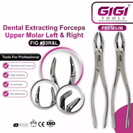 GIGI Tools คีมถอนฟัน Fig 53 (ซ้าย/ขวา) Tooth Extracting Forceps สแตนเลส มาตรฐาน CE ฟันกรามบน