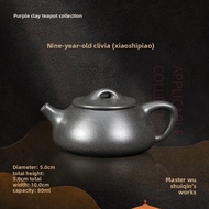 XIYUANJI | Vintage 9-Year-Old Flower Tea Pot