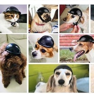 Pet Dog Helmet Corgi Teddy Small Medium Dog Cat Helmet Motorcycle Helmet Helmet Glasses Set
