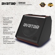 AVATAR DM30, 30 Watt Drum Amplifier Speaker ( DM 30 / DM-30 / HXW )