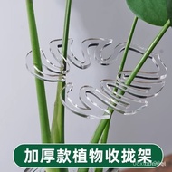 Taiwan 24h Turtleback Support Rod Flower Frame Branch Dry Push-Up Plant Anti-Inverted Bracket Green 