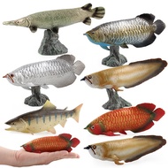 Manufacturer Simulation Marine Animal Arowana Model Toy Plastic Ornaments Silver Arowana Static Solid Hand-Made Toy Montessori Teaching Aids Educational Enlight