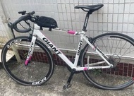 GIANT SCR 白色公路單車