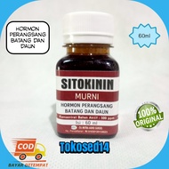 Sitokinin murni zpt hormon batang dan daun tunas sitokinin aglonema citokinin sitokinin zpt A pure Z
