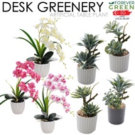 Hari Ray Orchid Artificial Flower Table Plant Office Desk Plant Tree Cactus Succulent Plant