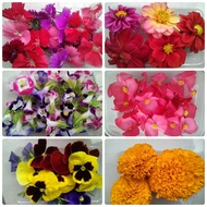 Mix EDIBLE FLOWER!!!!!