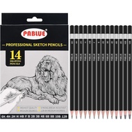Professional Triangular Drawing Sketching Pencil Set,6H,4H,2H,H,HB,F,B,2B,3B,4B,6B,8B,10B,12B Graphi