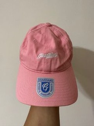 900購入 僅在球場戴一下 99%新 貼紙皆在 中華職棒 cpbl 富邦悍將主題日 Fubon 鴨舌帽棒球帽老帽可調整 張育成 戴培峰 曾峻岳