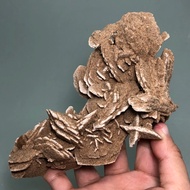 Desert Rose Natural Raw Ore