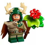 LEGO 71047 Dungeons And Dragons Dolls Orcs Druid