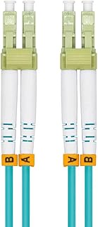 Jeirdus 30Meters 100FT LC to LC 10G OM3 Indoor Armored Duplex 50/125 Fiber Optic Cable Jumper Optica