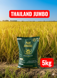 BENIH PADI UNGGUL THAILAND JUMBO kemasan 5kg (BAROKAH TANI)