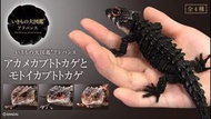 生物大圖鑑 Ultimate  紅眼鷹蜥 黑眼鷹蜥 bandai 宮守
