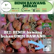 15 biji benih BAWANG MERAH SANREN red onion seeds hasil banyak gugus bawang