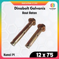 Dynabolt M12x75 / Dinabolt M12 x 75 / Concrete Bolt 12x75 Galvanized Yellow 5030