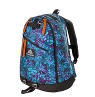 💙全新現貨🇯🇵 Gregory Day Pack 26L - Blue Tapestry 藍花|日本直送🇯🇵