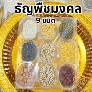 9 Types Of Grains Auspicious 9 9-Colored Aksat Rice 9-Color