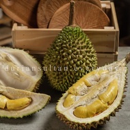 Duren/Durian Musang King Sultan Utuh - Per Kg Best Seller