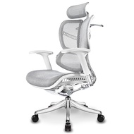Ergomax Evolution Computer Chair Household Ergonomic Chair Gaming Game Chair Boss Chair Office Chair